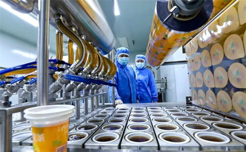 科技賦能小特產升級大產業 張掖臨澤的數字化轉型之路